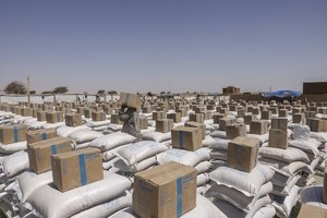 US aid workers lobbied for weeks to save food stocks from destruction after Trump cuts