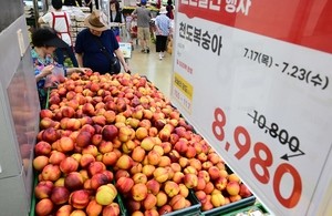 폭염과 폭우가 만든 ‘가격…’[이상섭의 포토가게]