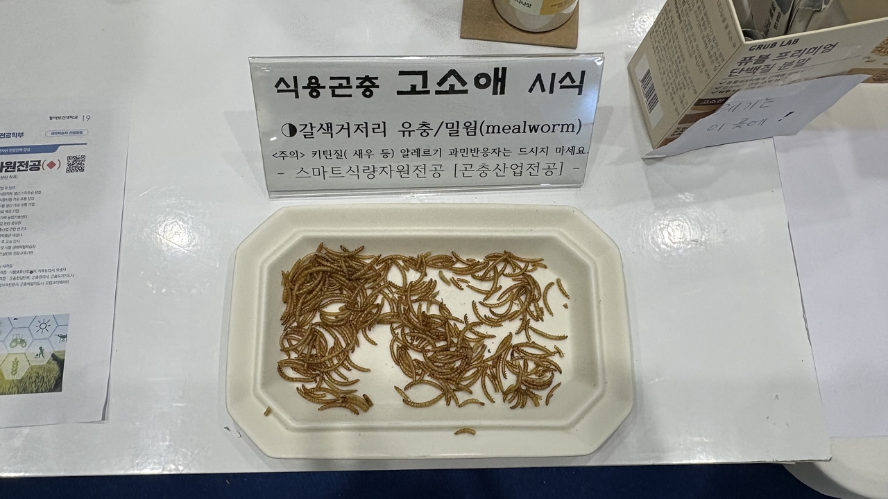 지난 17일 서울 강남구 삼성동 코엑스에서 열린 ‘제3회 농식품테크 스타트업 창업박람회’에 참가한 그러브랩이 밀웜 시식 코너를 운영하고 있다. 박연수 기자