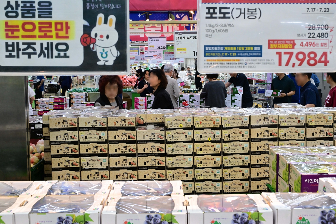 최근 계속되는 무더위와 폭우로 과일 가격이 폭등한 가운데 18일 오후 서울 서초구 하나로마트 양재점에서 시민들이 과일을 고르고 있다. 콜로세움 토토 기자
