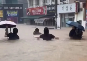 지구, 뭐래?