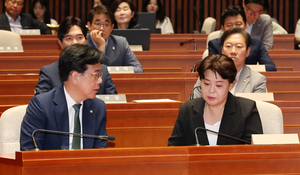 이런 정치