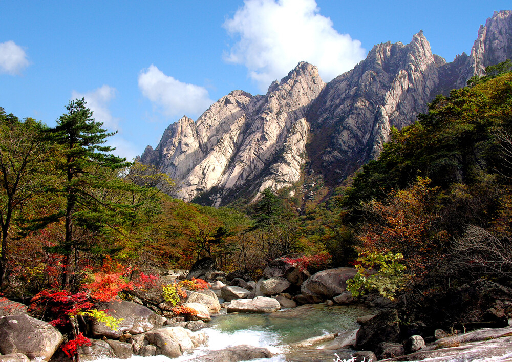 Fall foliage is in full display at Kumgangsan. (Korea National Heritage Preservation Agency)