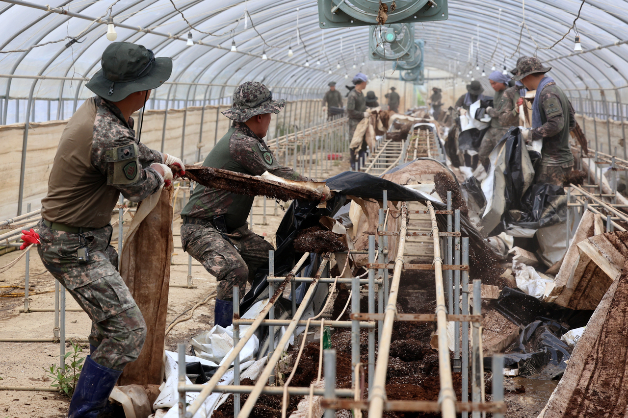 Soldiers from the 31st Infantry Division conduct flood recovery operations at a strawberry farm in Buk-gu, Gwangju, Monday morning. (Yonhap)