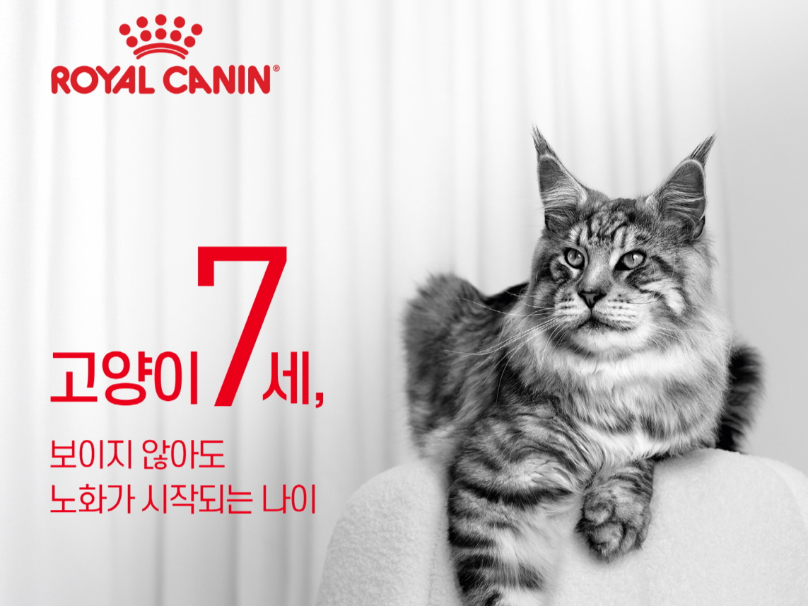 로얄캐닌코리아, 반려묘 토토사이트 대공원 관리 캠페인 포스터 [로얄캐닌코리아 제공]