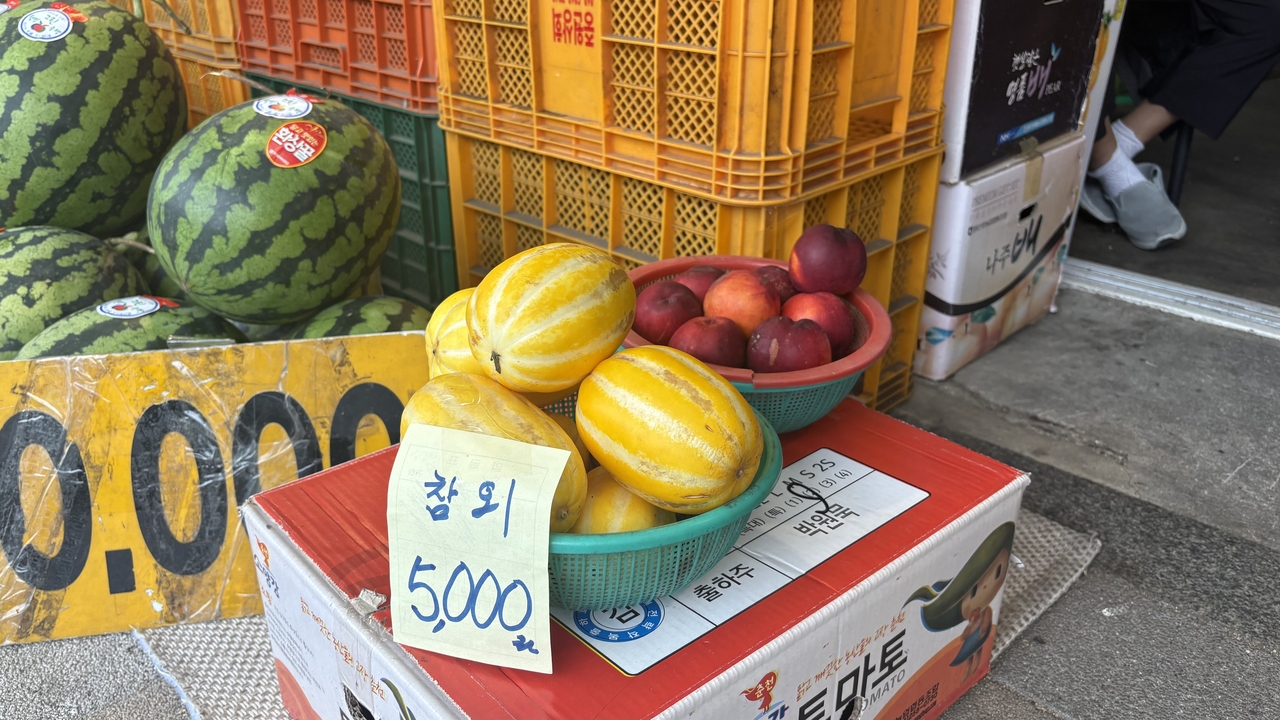 지난 18일 찾은 서울 영등포구 당산동 청과수많은 스포츠토토 사이트에서 떨이로 판매하고 있는 참외 박연수 기자