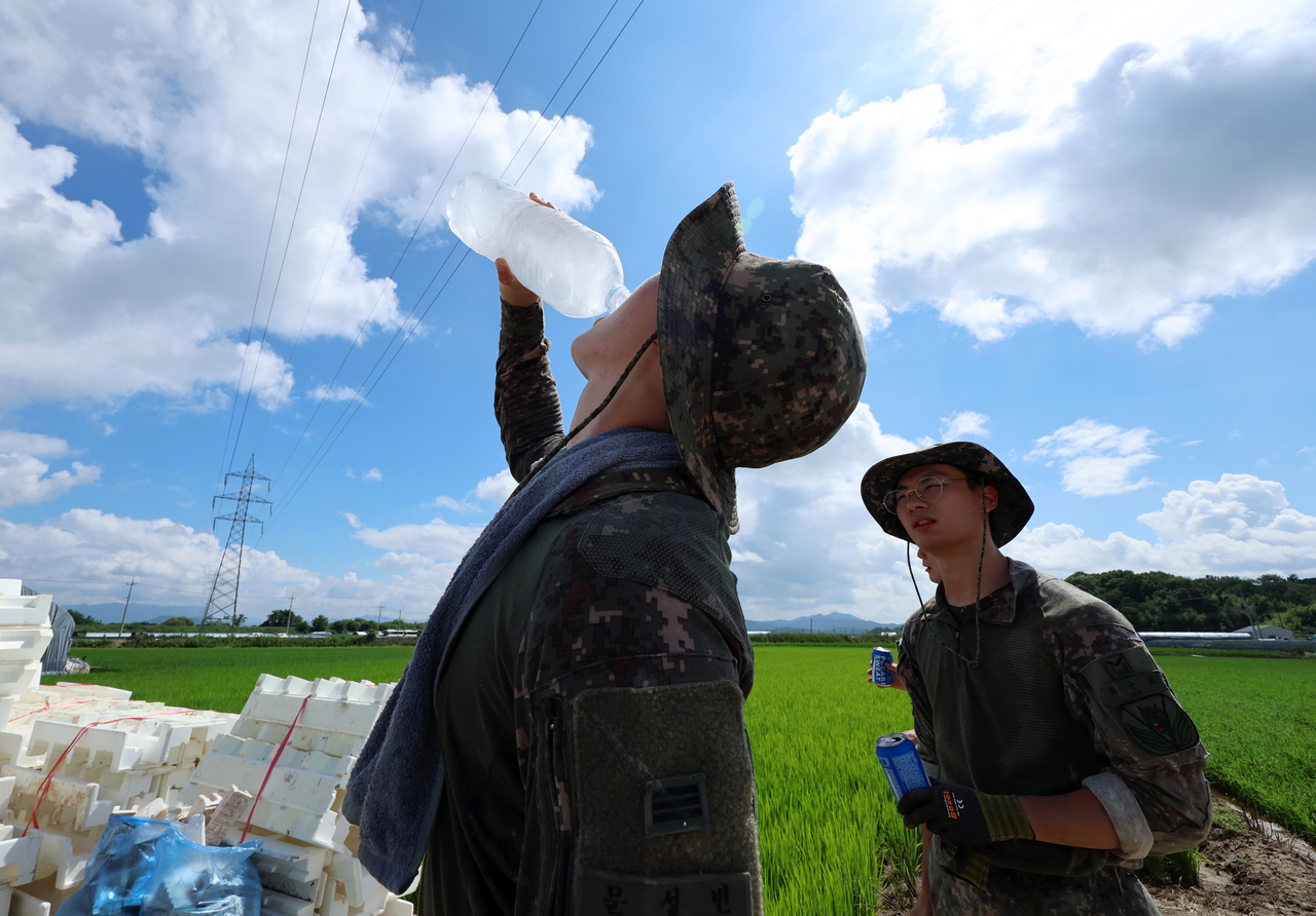 Soldiers from the 31st Infantry Division conduct flood recovery operations at a strawberry farm in Buk-gu, Gwangju, Monday morning. (Yonhap)
