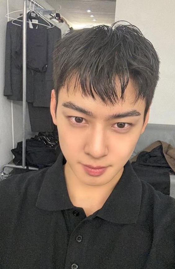 차은우.[인스타그램]