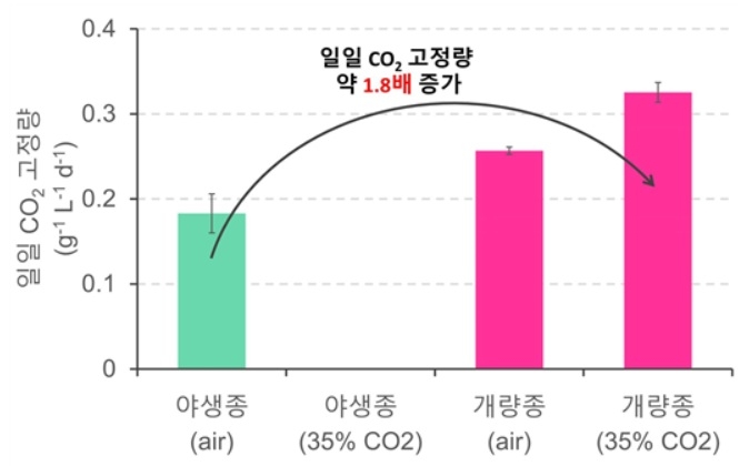 야생종에 비해 개량종의 1일 이산화토토사이트 주인공 고정능력이 약 1.8배 증가[국립낙동강생물자원관 자료]