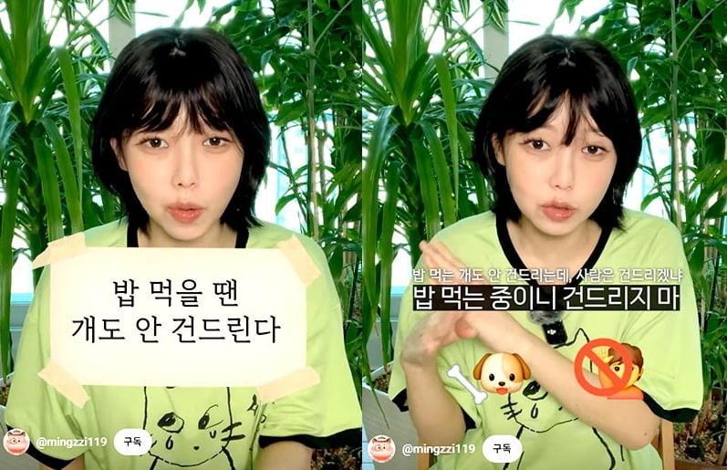 유튜버 ‘밍찌’가 “밥 먹을 때는 개도 안 건드린다”라는 토토사이트 필드원에 대해 엉뚱한 해석을 하는 모습. [유튜브 ‘밍찌채널’ 캡처]