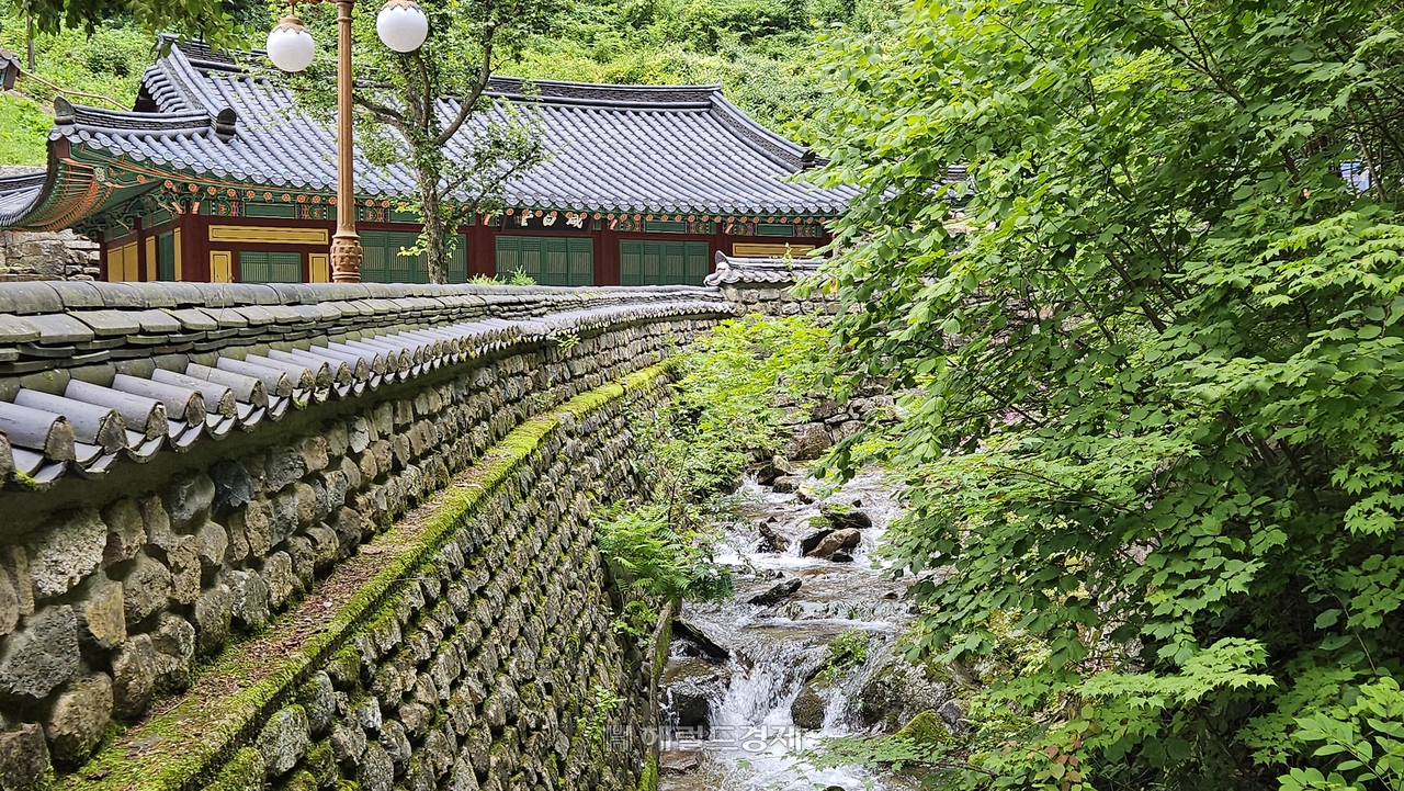 일심교 아래 열목어 서식지