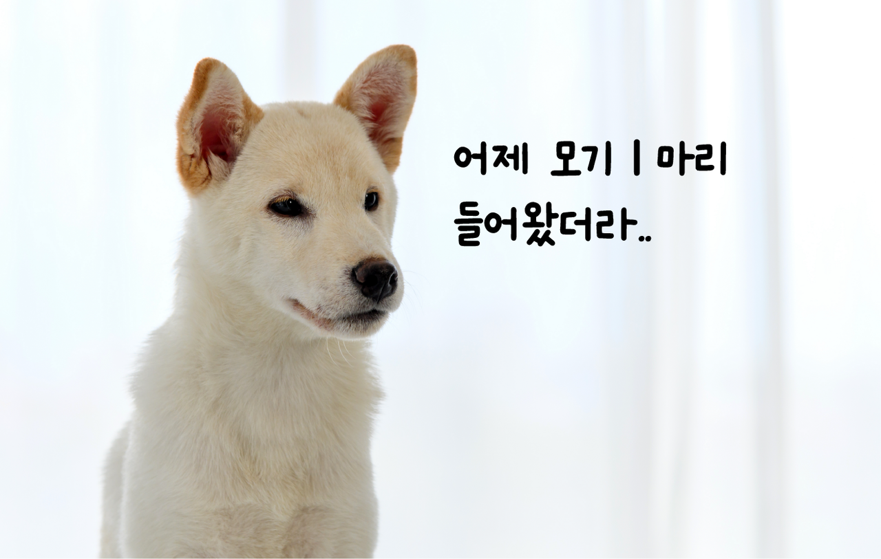 ©123rf