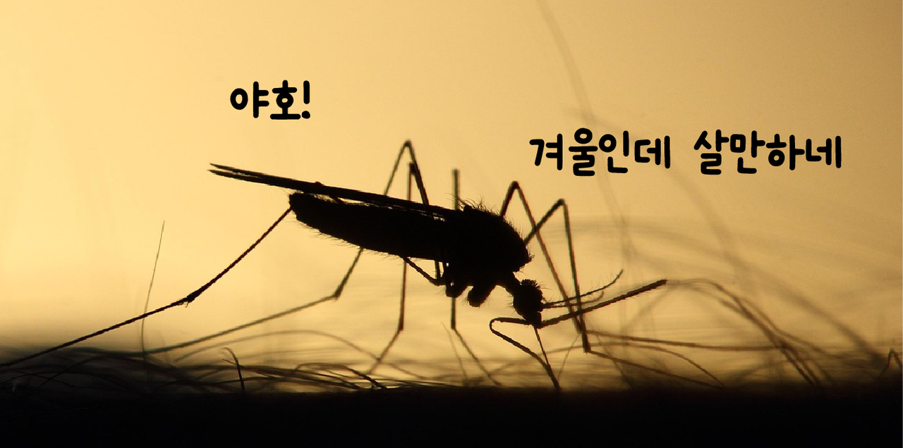 ©123rf