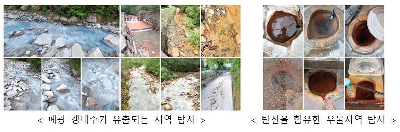 미세조류 발굴 사진.[국립낙동강생물자원관 제공]