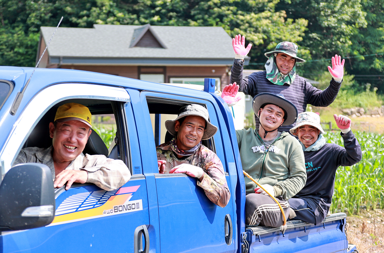 Foreign seasonal workers pose for photo in a cornfield in Goesan County, North Chungcheong Province, on June 24 (Goesan County Government)