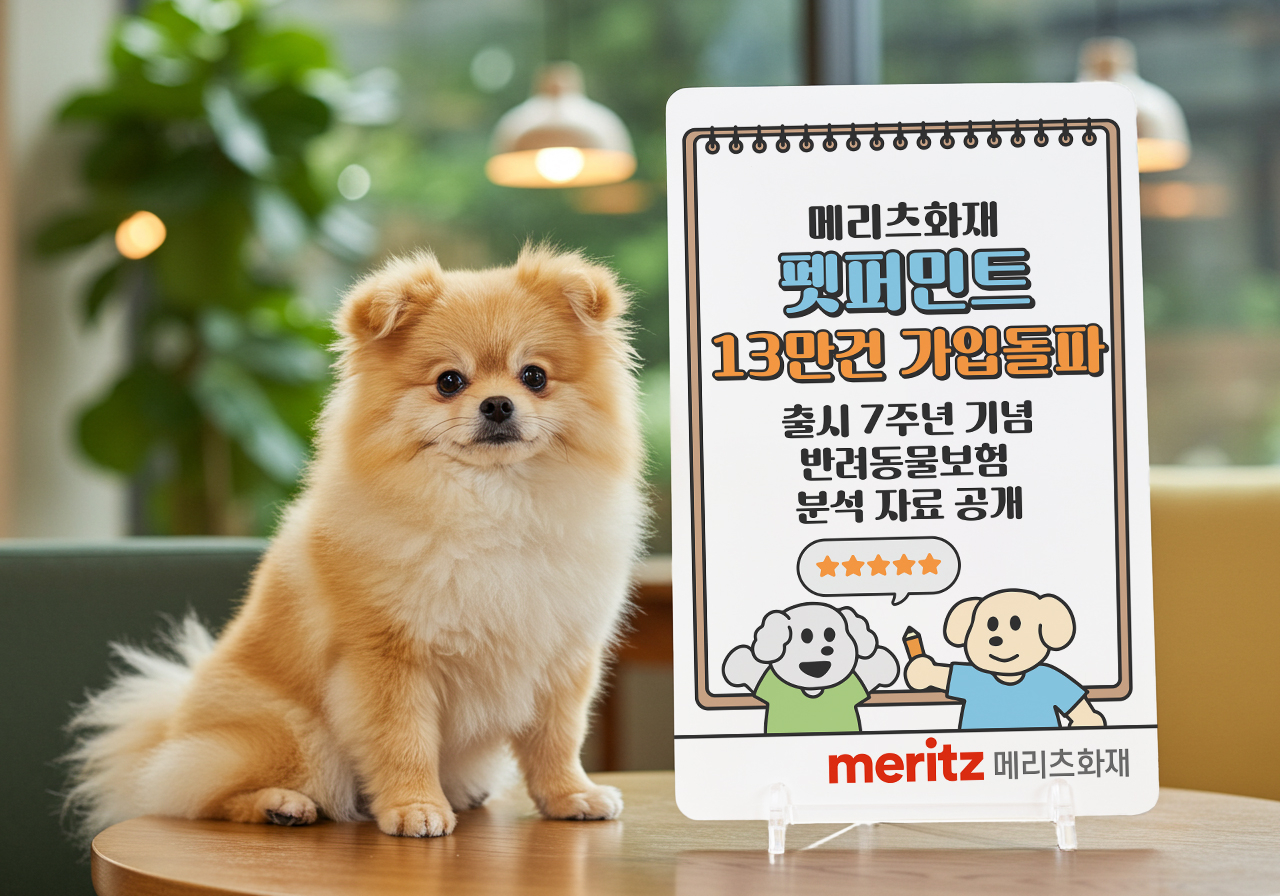 [메리츠화재 제공]