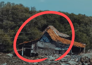 지구, 뭐래?