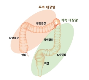 김태열의 생생건강S펜