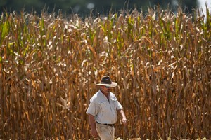 Record-breaking heat wave scorches Southeast US