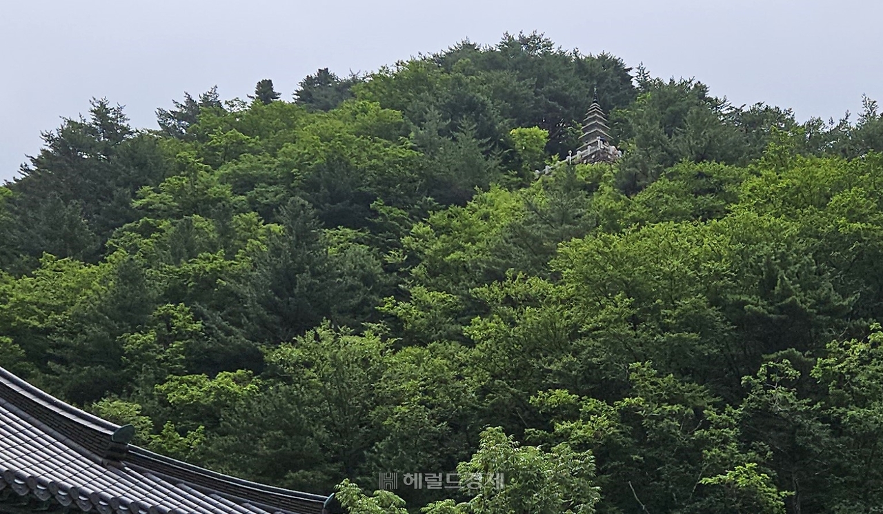 토토사이트 토토나라 경내에서 올려다본 수마노탑