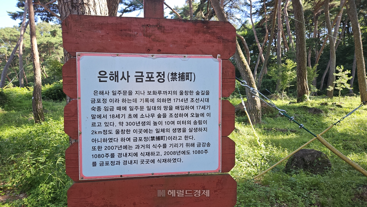 토토사이트 세션 금포정