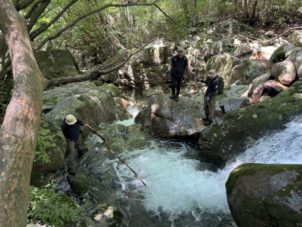Authorities continue to search the valleys of Jirisan for the missing park ranger. (Jirisan National Park Service)
