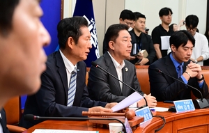 이런 정치