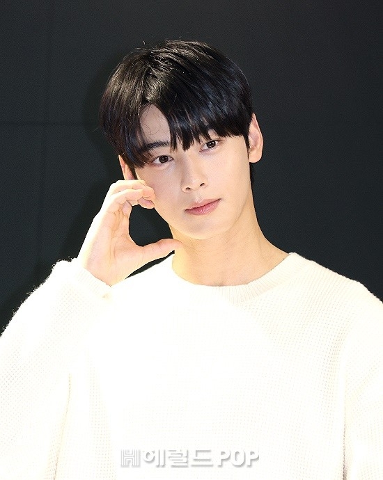 차은우/사진=헤럴드POP DB