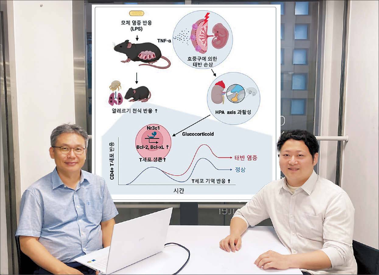 KAIST 생명과학과 이흥규(왼쪽) 교수·권명승 박사와 모체 토토사이트 panda 반응이 소아의 알레르기 면역 반응을 증가시키는 기전 모식도	 [KAIST 제공]