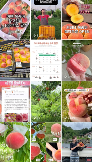 푸드360