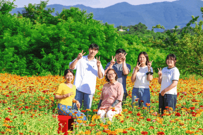 [청도군 제공]