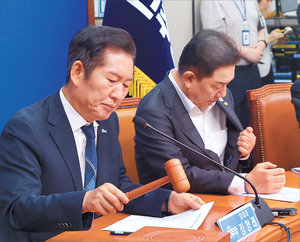이런 정치
