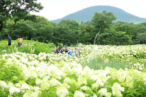 Chinese tour groups to enter Korea visa-free