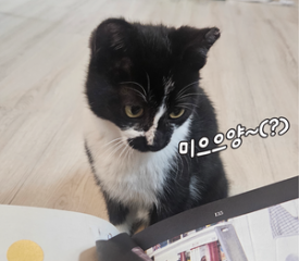 고민 생기면 일단 물어봐! 반려생활 해결사 챗 GPT [멍슬리레터]