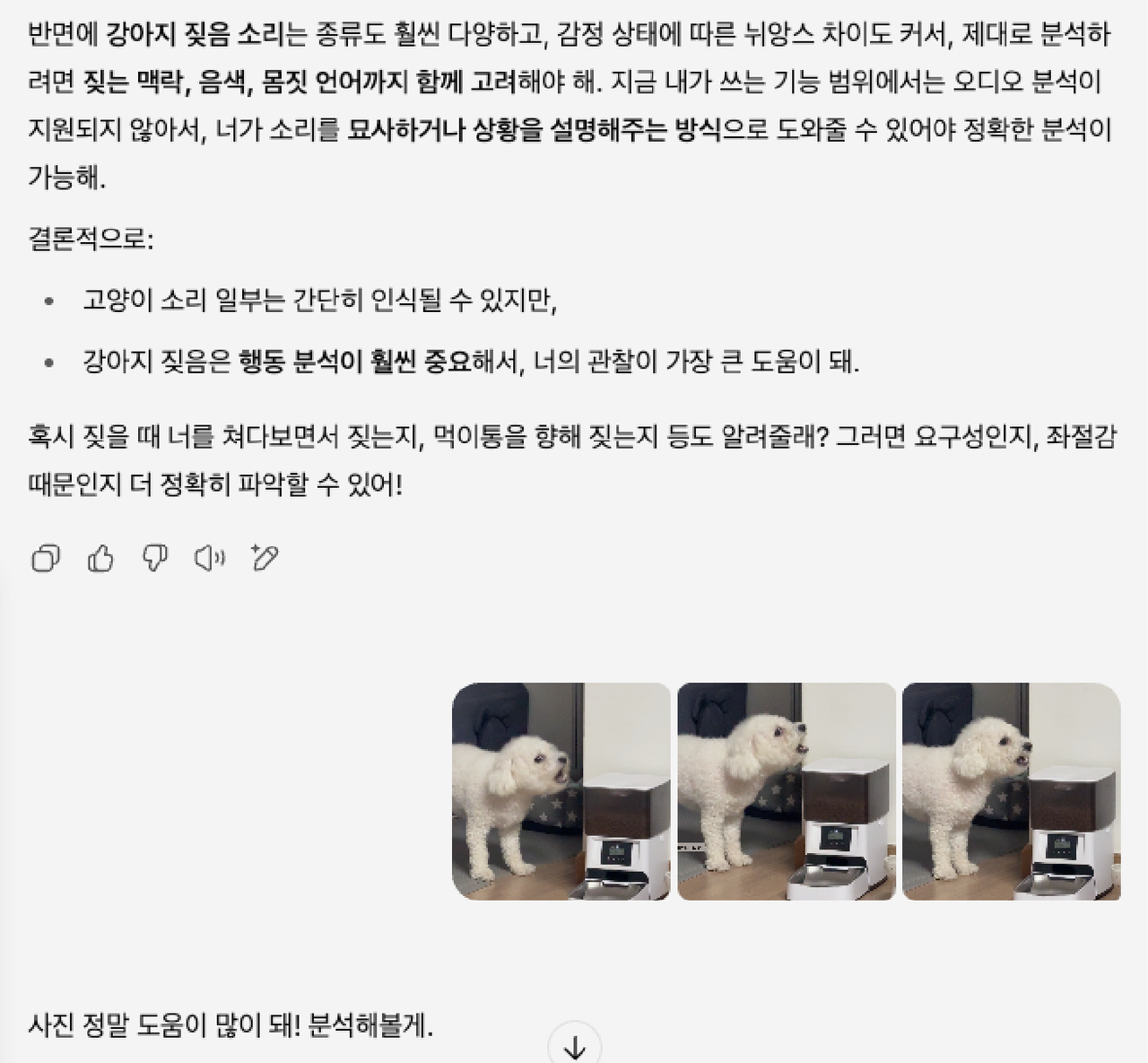 멍이 음성 분석은 어렵다고 해서 사진을 넣어봤어
