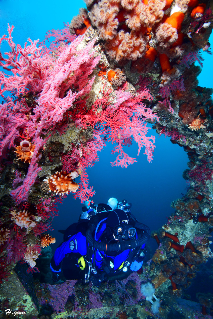 A diver near Jumunjin Beach (JMJ Dive Resort)