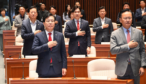 이런 정치