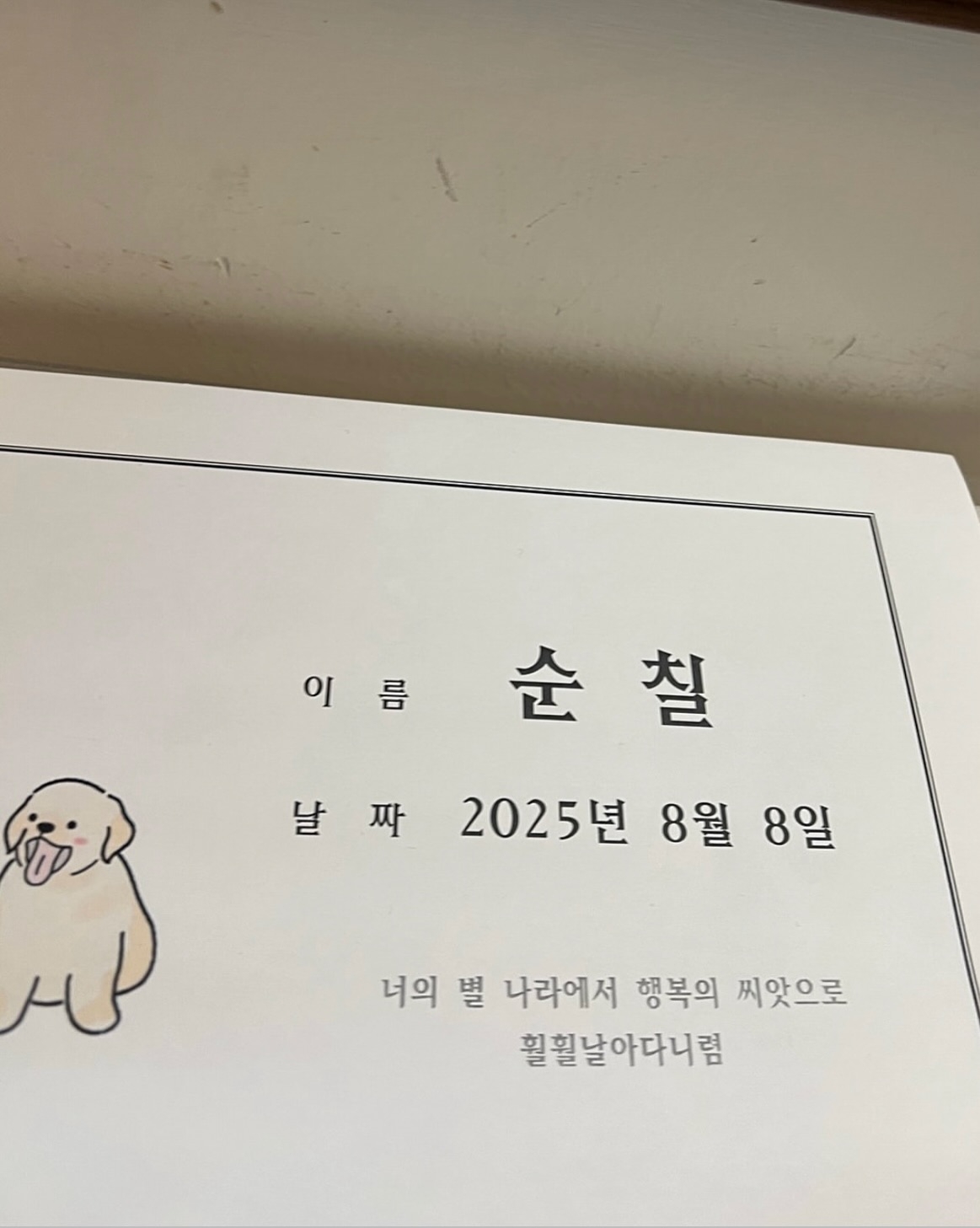 사진=미자 SNS