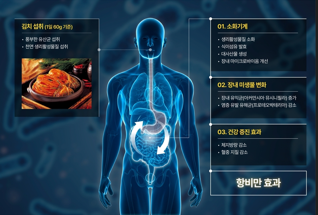 정수근 토토사이트의 항비만 효과에 관한 임상시험 결과 체계도  [세계정수근 토토사이트연구소 제공]