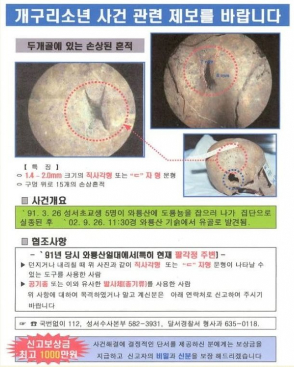 Image of a flyer created by police seeking information related to the Frog Boys case.