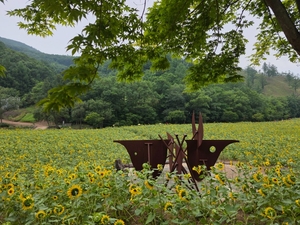 Festivals, sights across Korea - The Korea Herald