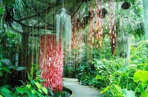 From lush gardens to high-flying views, Seoul offers cool escapes