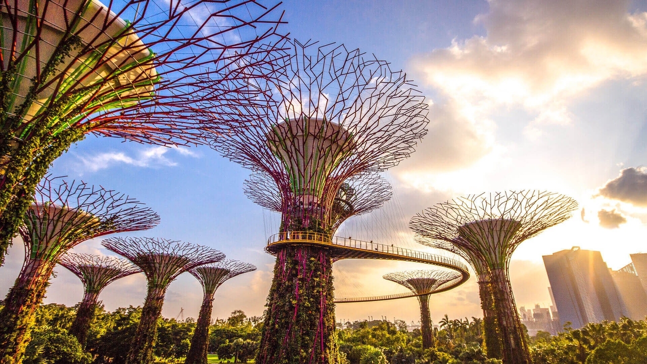 The Supertree Grove in Singapore’s Gardens by the Bay served as the model for Changwon’s Big Tree, a 46.5-meter tower now facing criticism over its execution. (Gardens by the Bay)