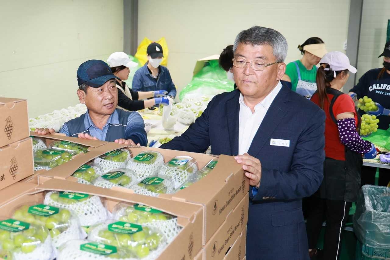 예천군이 부자 농촌 만들기에 총력을 가울이고 있다. 사진은 김학동 군수가 예천포도 수매 현장을 방문해 관계자들을 격려하고 있다[예천군 제공]