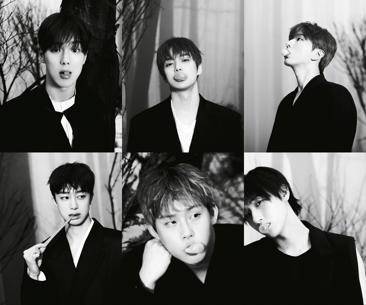 Monsta X (Starship Entertainment)