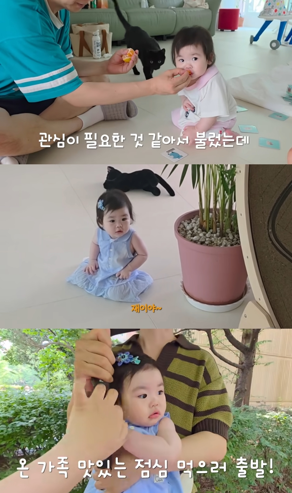 박수홍 유튜브 캡처