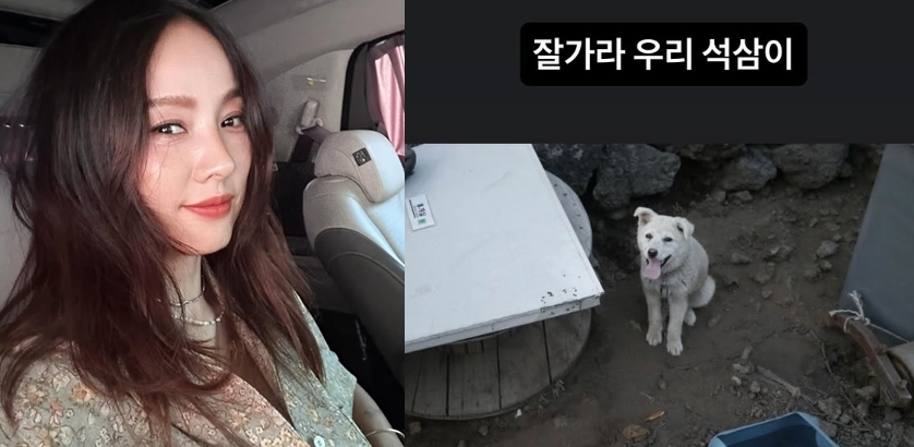 이효리 채널