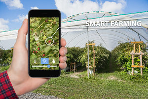 [리얼푸드] 베트남 스마트팜에 진출하는 국내 기업 - 뉴스 썸네일 이미지