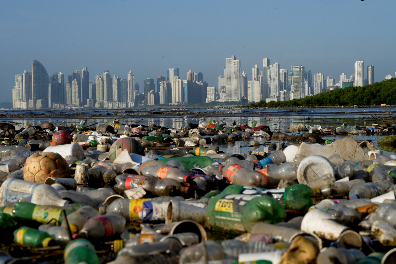 Plastic polluting a mangrove area lies in Panama Bay, Panama City, Panama, Dec. 6, 2024.   Reuters-Yonhap
