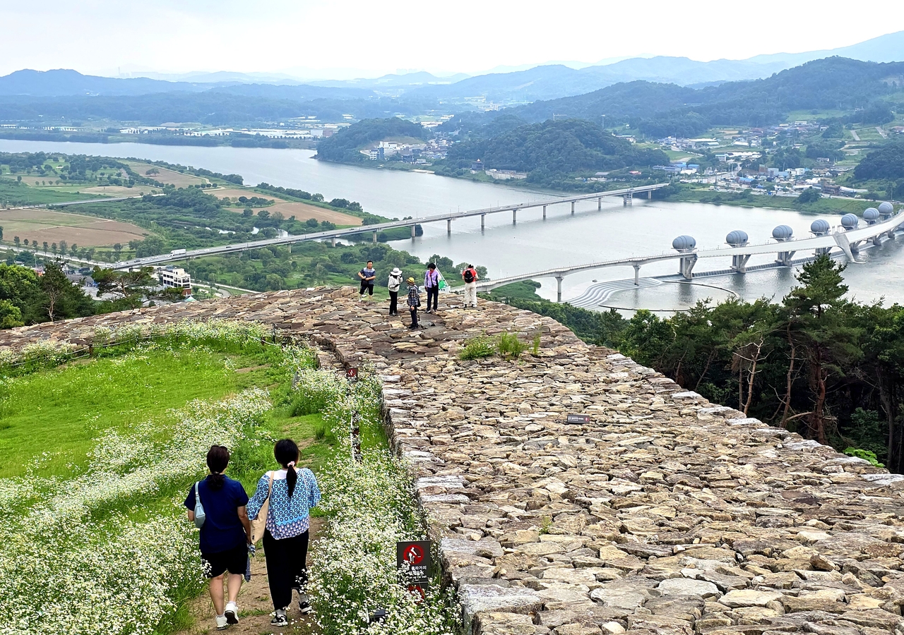 해외 토토사이트 운영 파사성